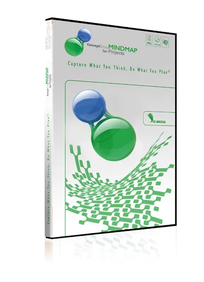 СonсeptDraw MINDMAP for Projects - 10 Users