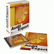 Audit Expert 4 - Standard несетевая версия