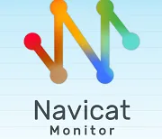 Navicat Monitor - Standard Edition - 1 Token