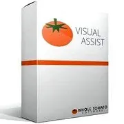 Visual Assist Standard License for Companies and Organizations - 